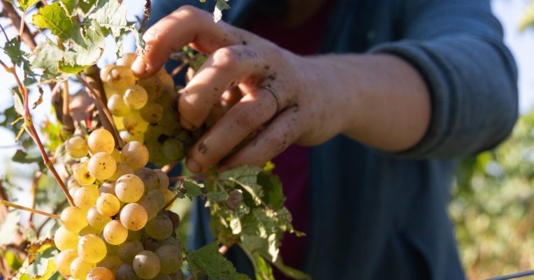 Saisonniers agricoles hébergés sous tente : la FGTA-FO saisit la justice