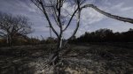 Changement climatique : pour faire face, les moyens doivent augmenter